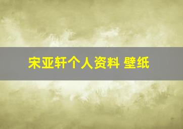 宋亚轩个人资料 壁纸